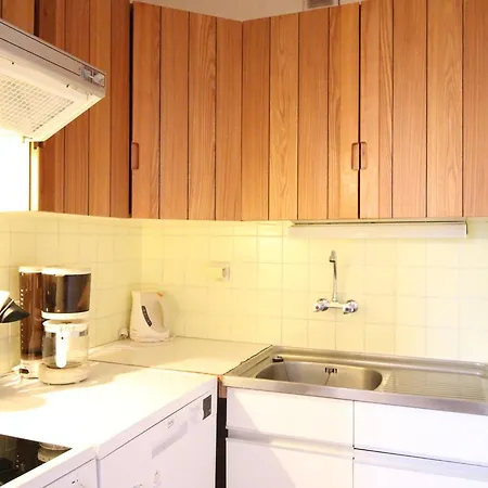 Appartement Duplex Spacieux Au Mont-dore Avec Parking Prive